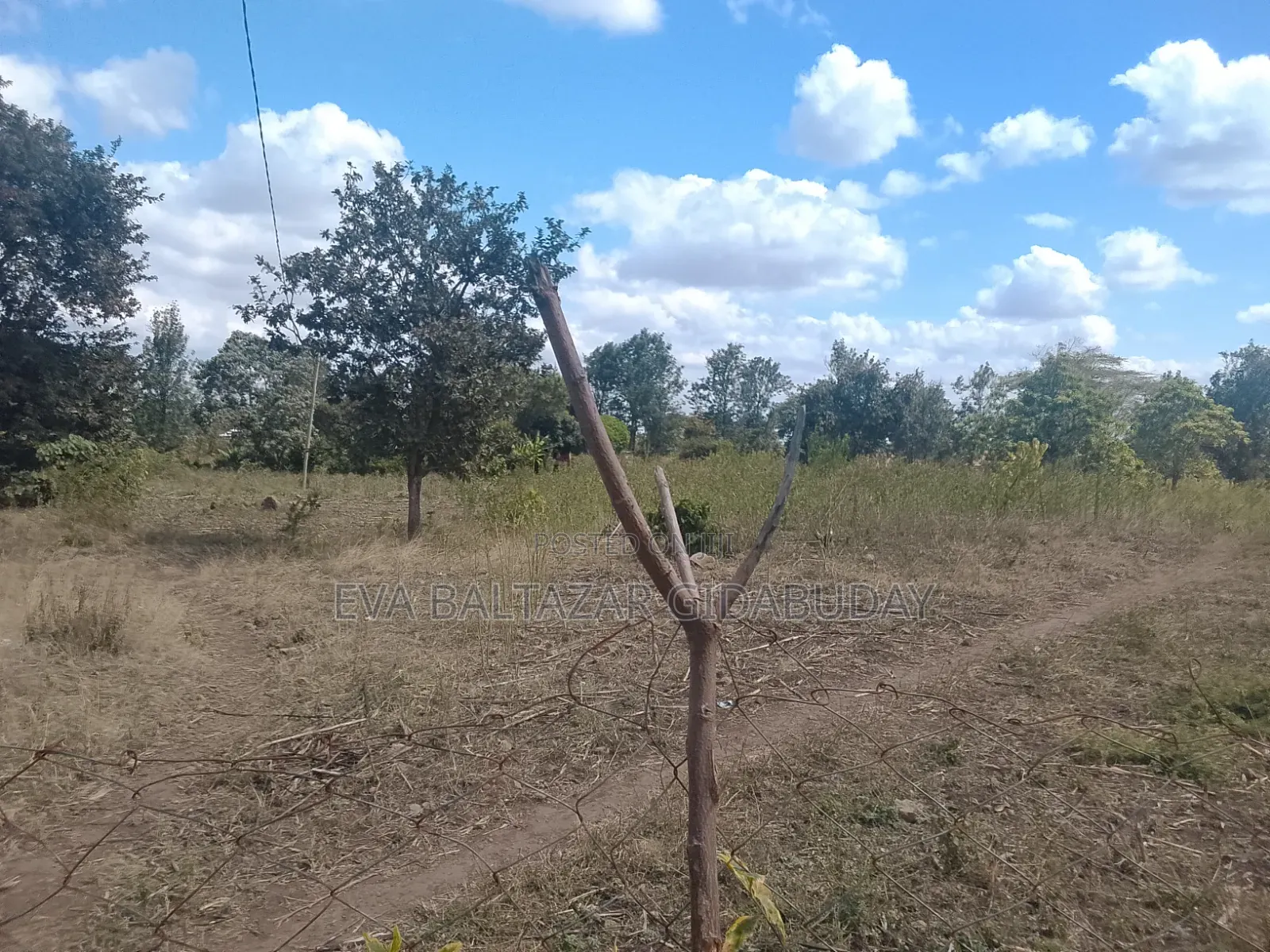 Plot for Sale