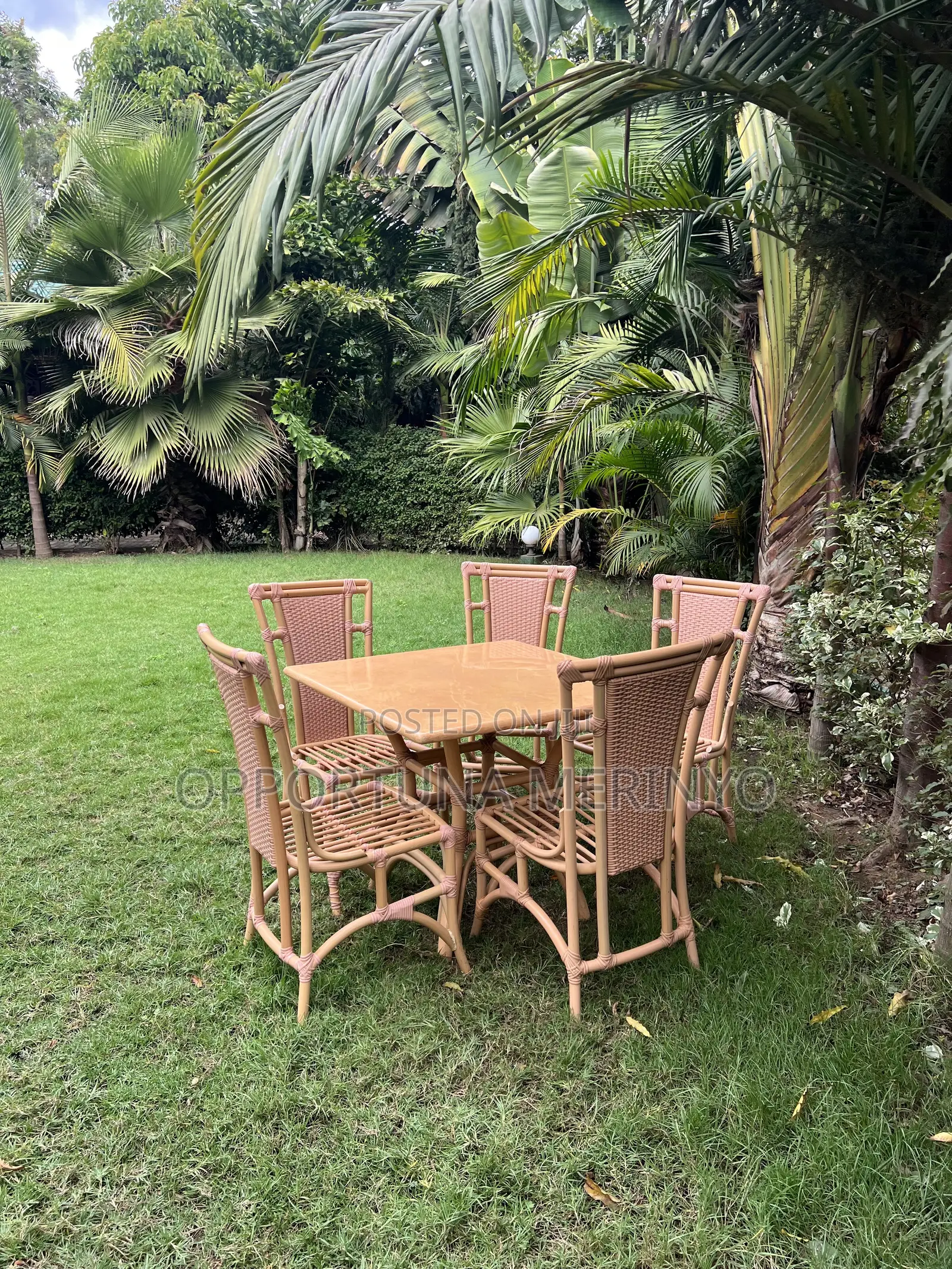 Arusha Serenity Suites