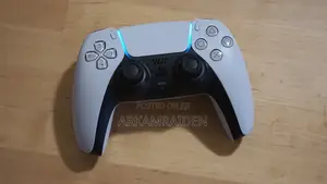 PS 5 Controller