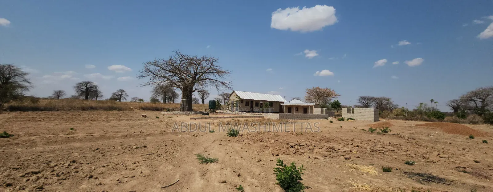 Shamba La Zabibu Linauzwa Ibugule Dodoma
