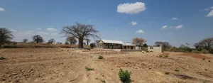 Shamba La Zabibu Linauzwa Ibugule Dodoma