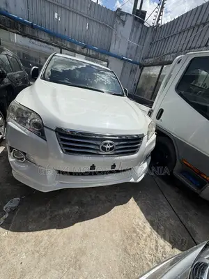 Toyota Vanguard 2010 Pearl