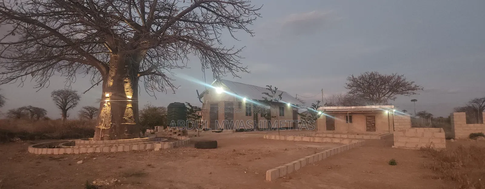 Shamba La Zabibu Linauzwa Ibugule Dodoma