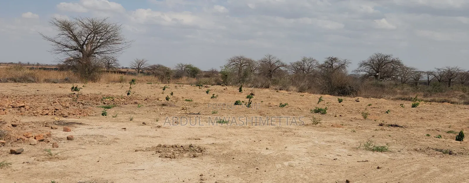 Shamba La Zabibu Linauzwa Ibugule Dodoma