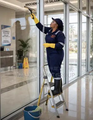 House Cleaning Services
