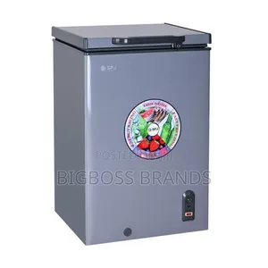 SPJ Freezer 100 Liters [Freezer Dogo]