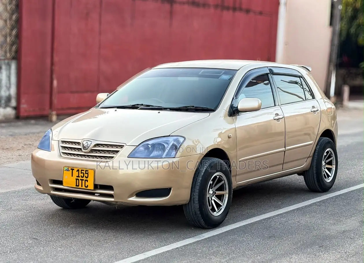 Toyota Allex 2005 Gold