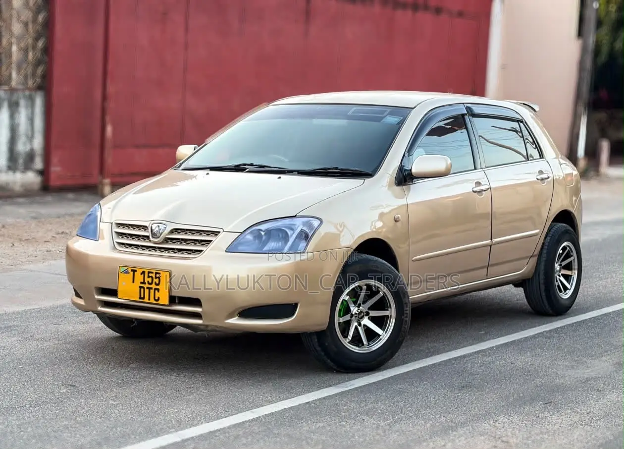 Toyota Allex 2005 Gold