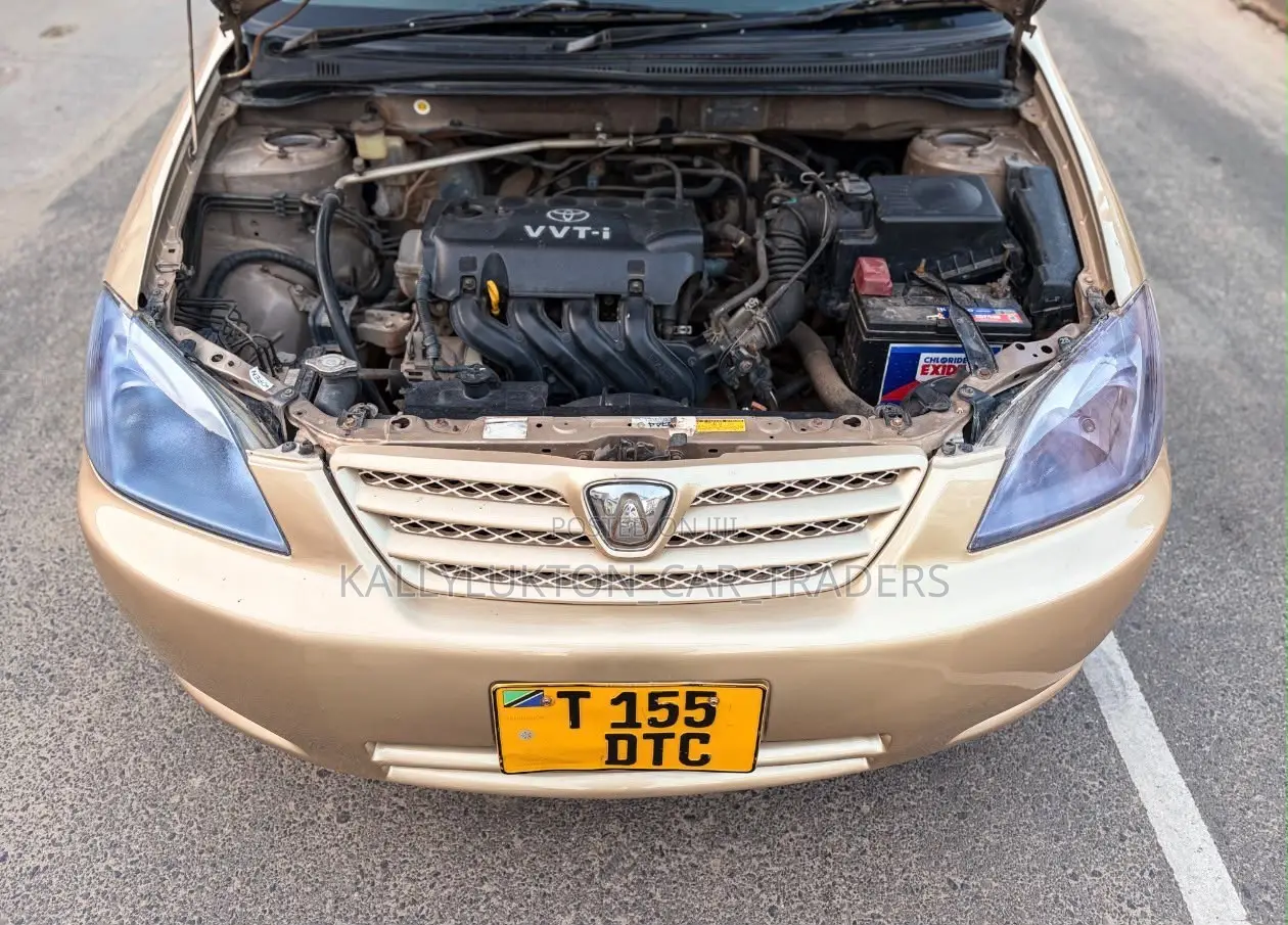 Toyota Allex 2005 Gold