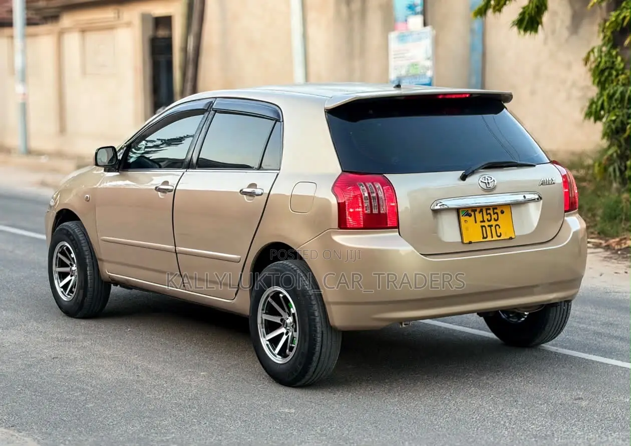 Toyota Allex 2005 Gold