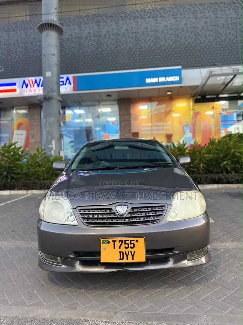 Toyota Allex 2005 Gray