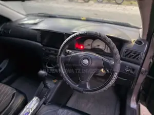 Toyota Allex 2005 Gray