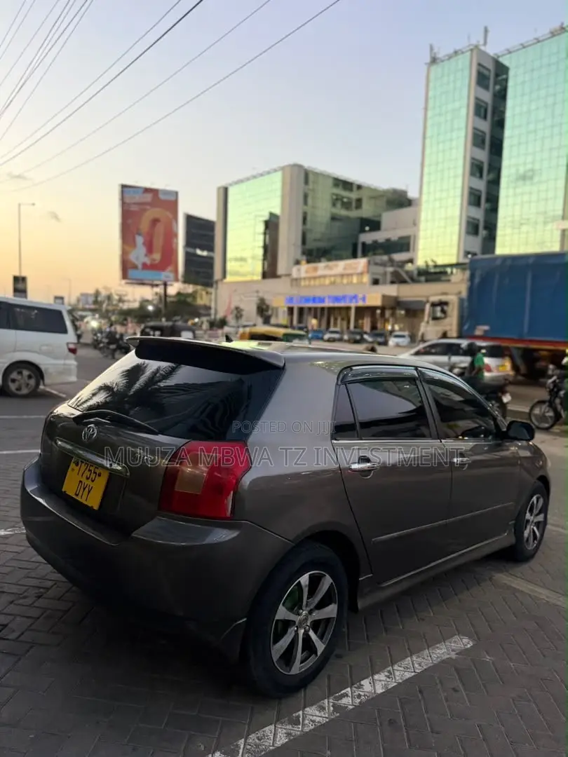Toyota Allex 2005 Gray
