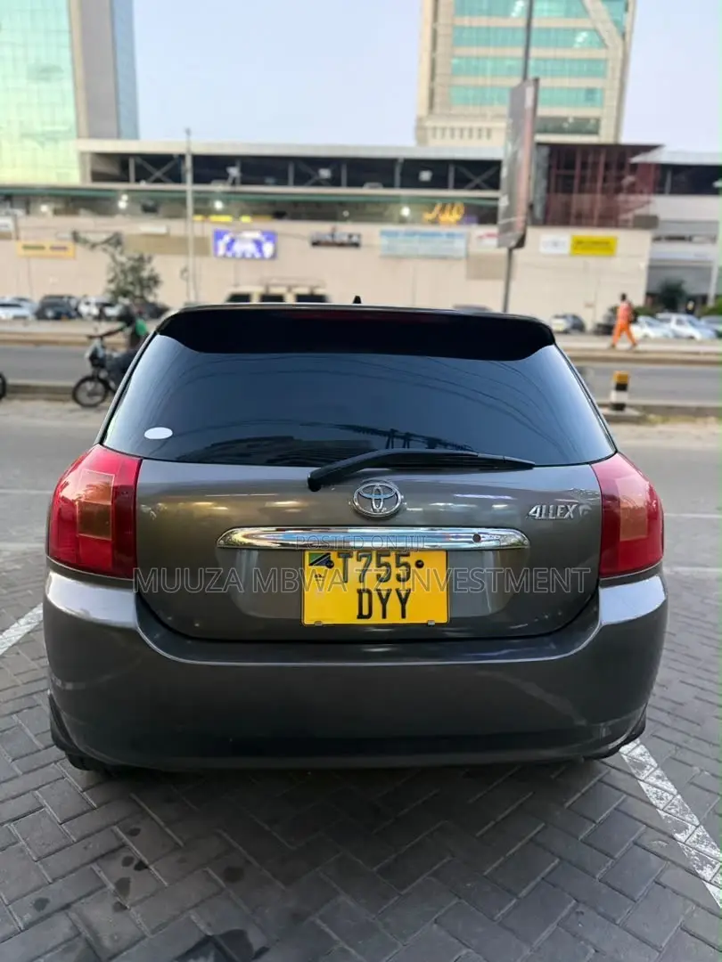 Toyota Allex 2005 Gray