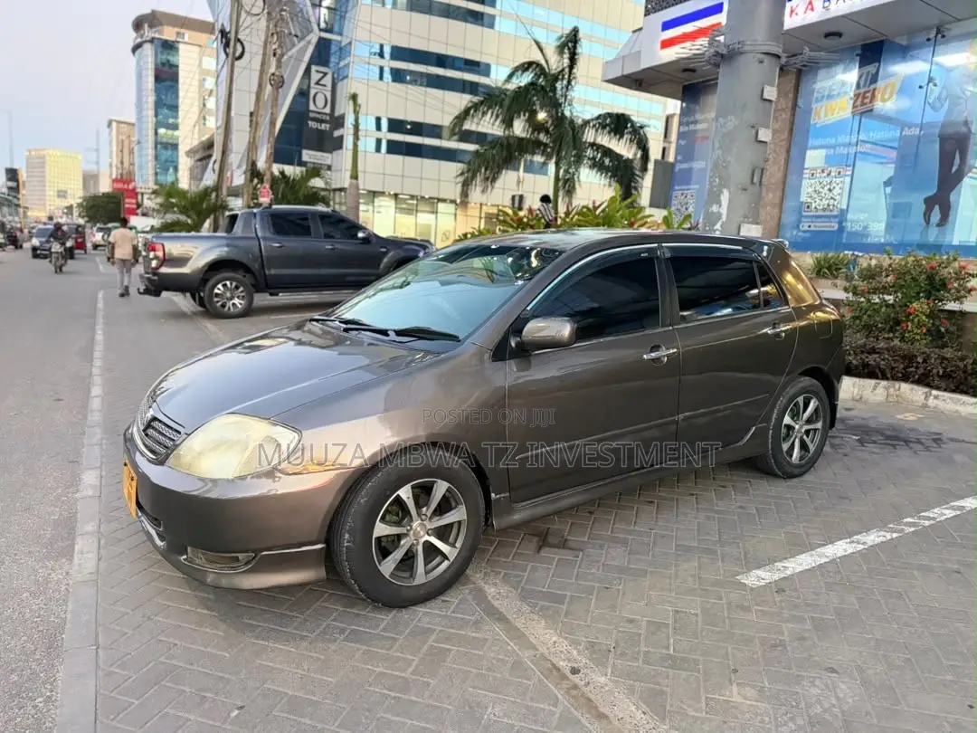 Toyota Allex 2005 Gray