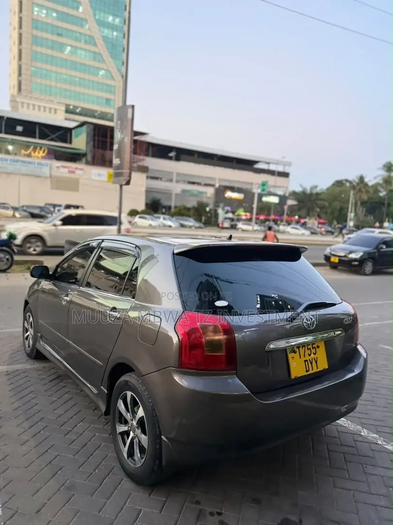 Toyota Allex 2005 Gray