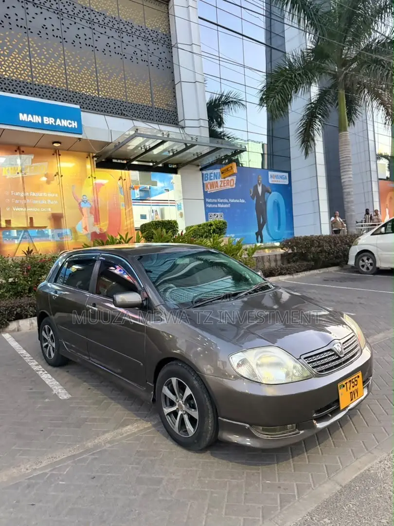 Toyota Allex 2005 Gray