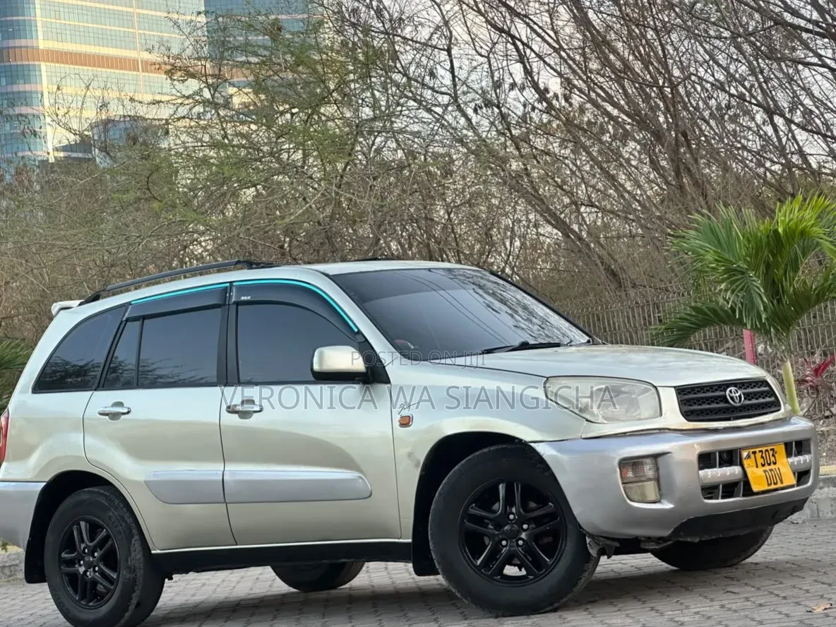 Toyota RAV4 2006 Silver