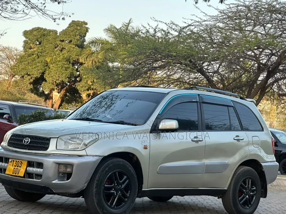 Toyota RAV4 2006 Silver