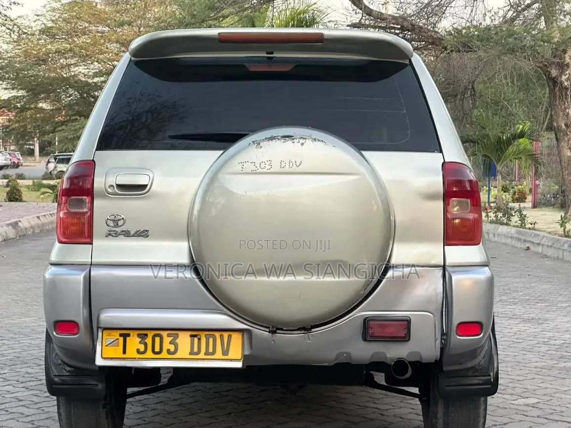 Toyota RAV4 2006 Silver