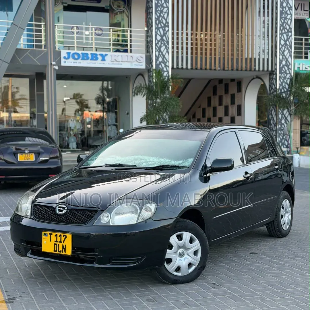 Toyota Corolla RunX 2002 Black