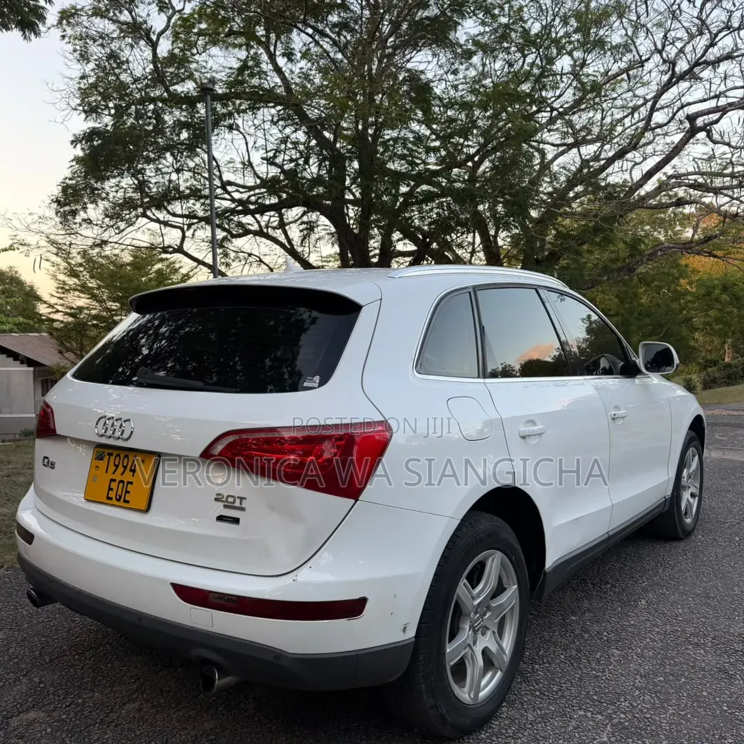 Audi Q5 2009 White