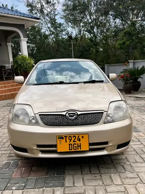 Toyota Corolla RunX 2002 Gold
