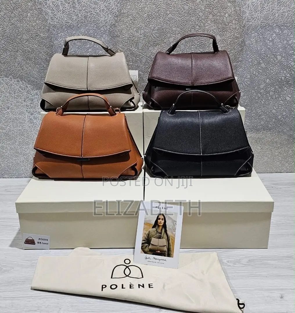 Polène Numéro Un Bag