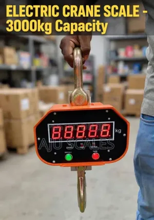 3000kg Digital Crane Scale