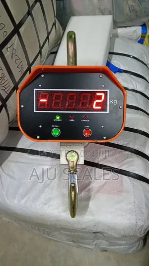 3000kg Digital Crane Scale