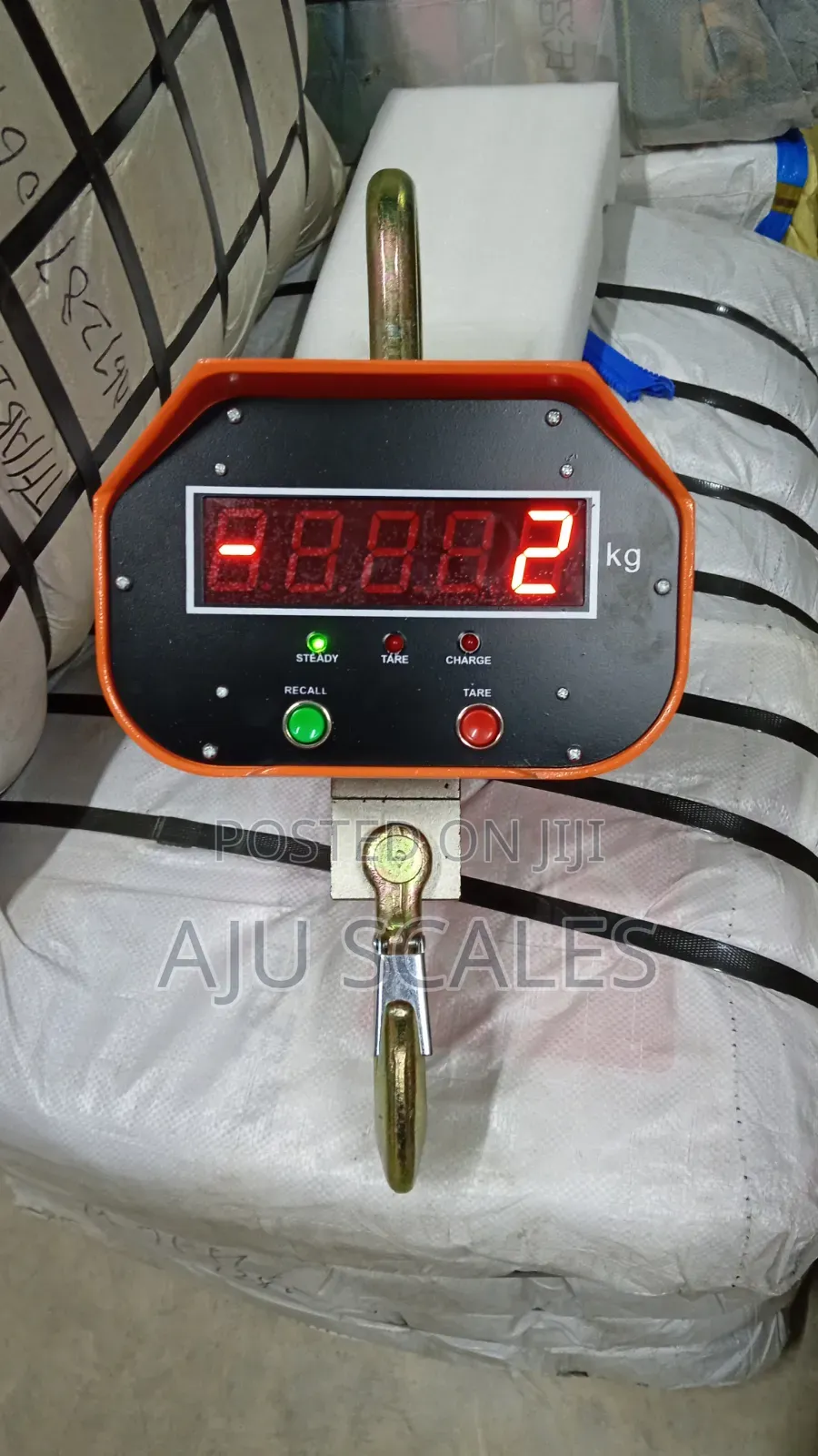 3000kg Digital Crane Scale