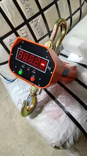 3000kg Digital Crane Scale