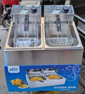 Electric Fryer 12L