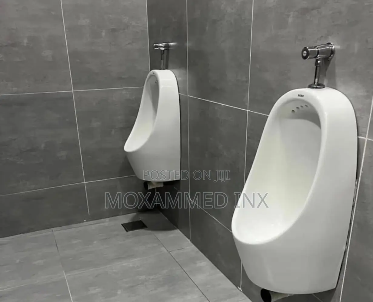Wall-Hung Ceramic Men’s Urinals With Silver Manual Push-Button Flush