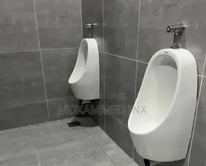 Wall-Hung Ceramic Men’s Urinals With Silver Manual Push-Button Flush