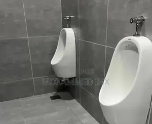 Wall-Hung Ceramic Men’s Urinals With Silver Manual Push-Button Flush
