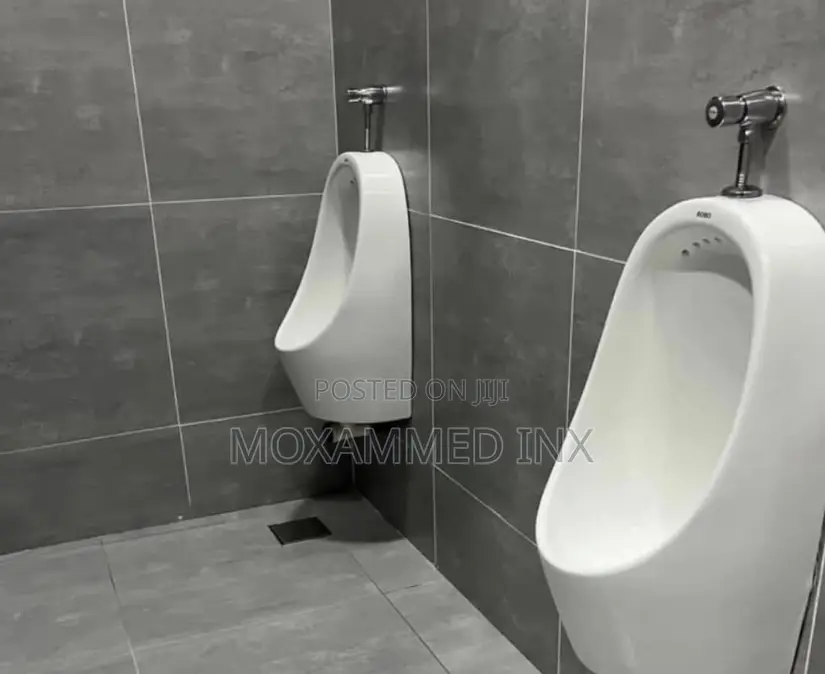Wall-Hung Ceramic Men’s Urinals With Silver Manual Push-Button Flush