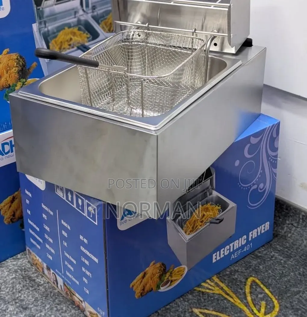 Electric Fryer 6l