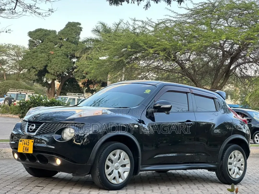 Nissan Juke 2012