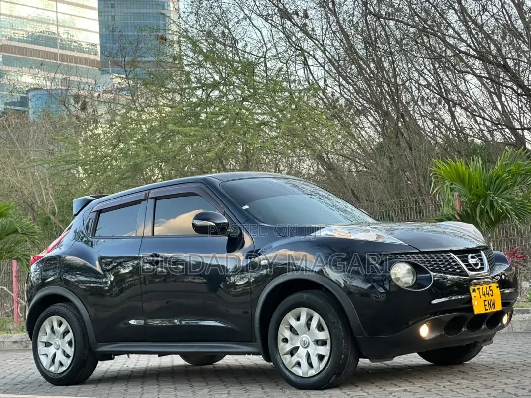 Nissan Juke 2012