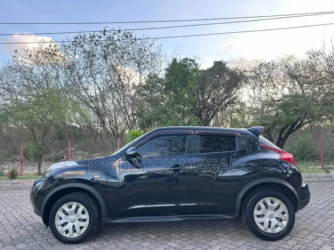 Nissan Juke 2012
