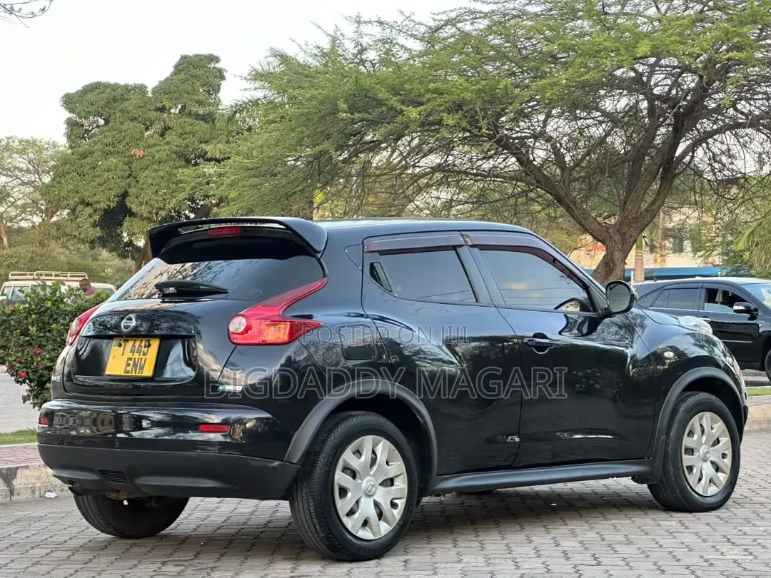 Nissan Juke 2012