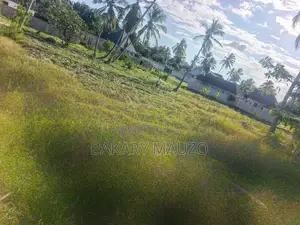 Kiwanja Mita 15/30 Kinauzwa Chanika