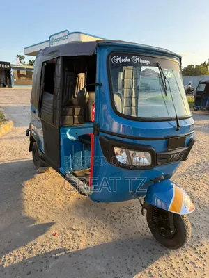 Bajaj Avenger 200 2024 Blue