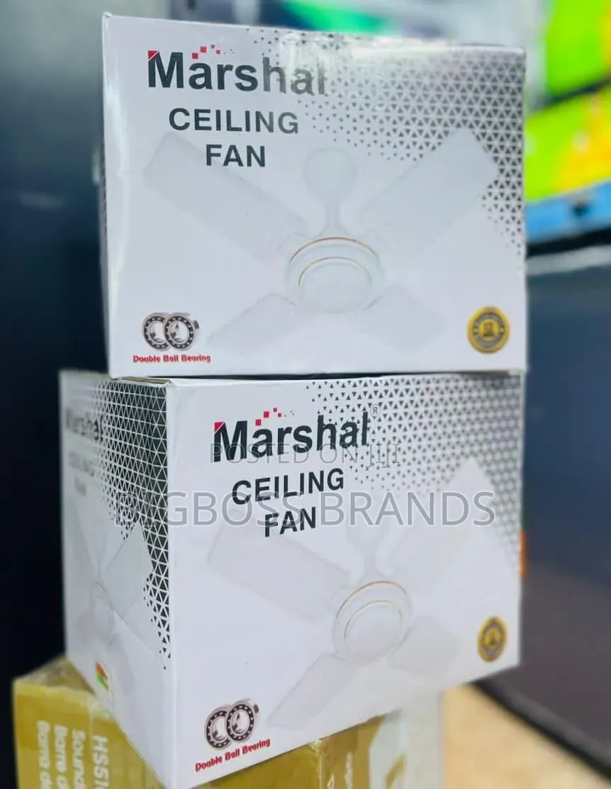 Marshal Panga Boy 24 Size [Ceiling Fan]