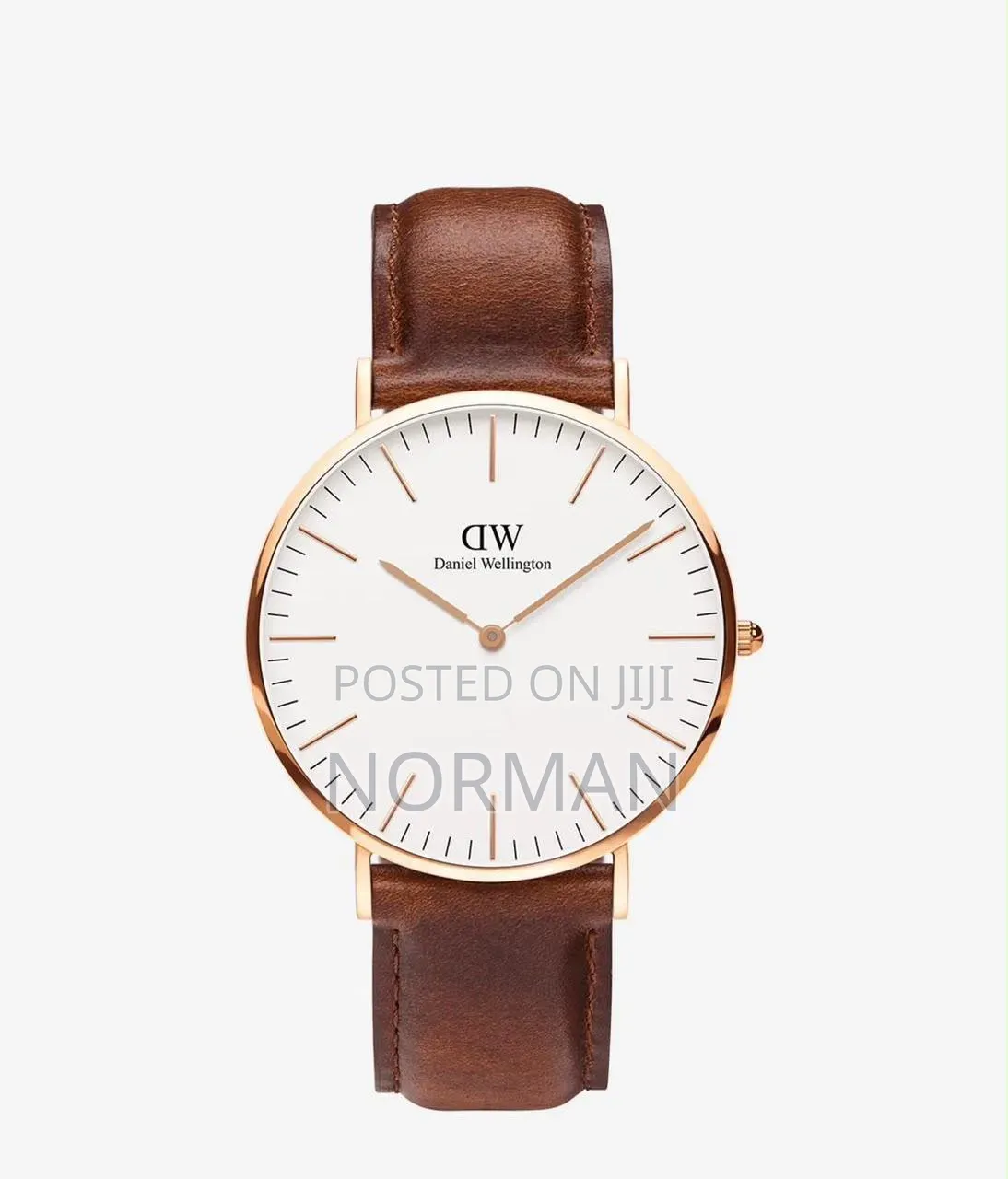 Daniel Wellington (Dw) Watch