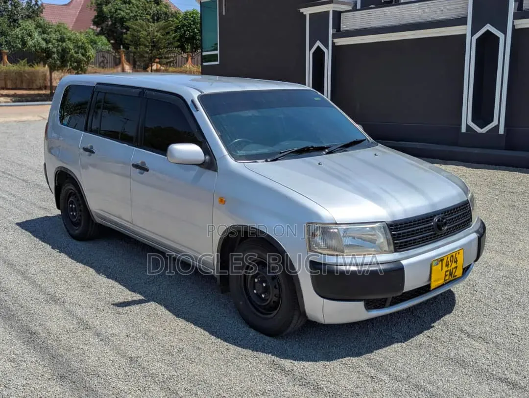 Toyota Probox 2006 Silver