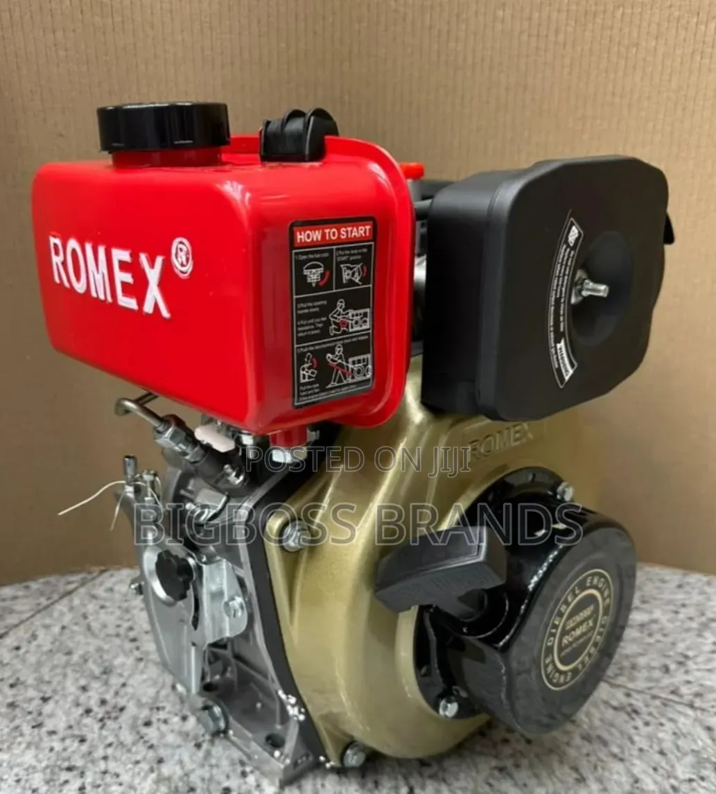 Romex Diesel Engine RM 173