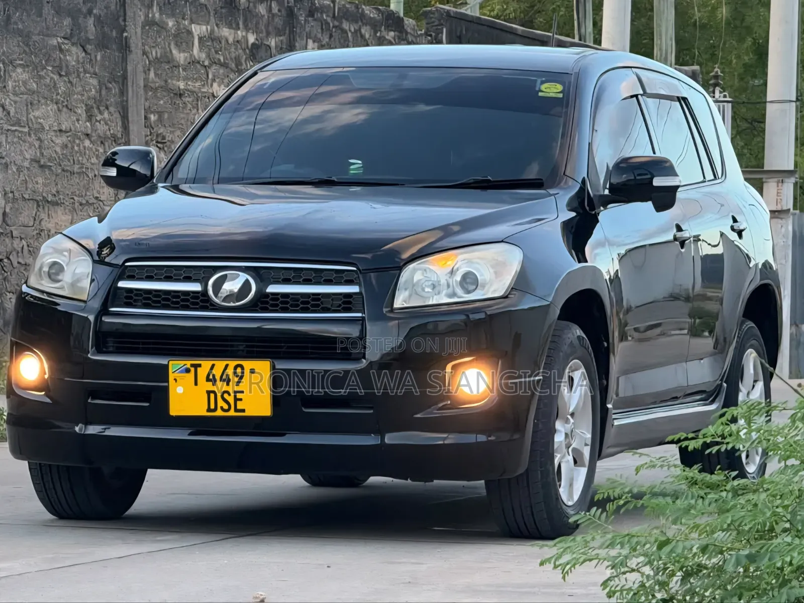 Toyota RAV4 2009