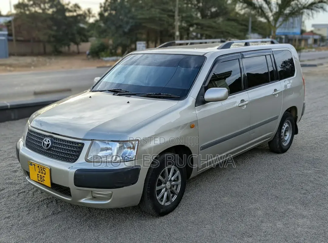 Toyota Succeed 2006 Silver